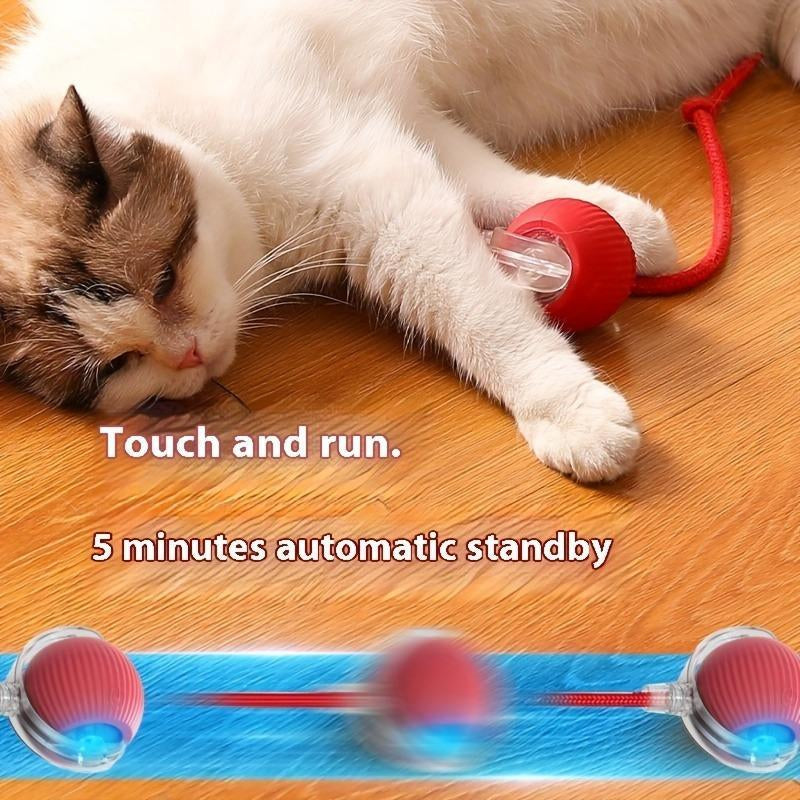 Interactive Cat Toy Ball, Fast Rolling Cat Toy, Cat Teaser Toy, Pet Entertainment Supplies, Pet Interactive Toy, Cat Teething Toy