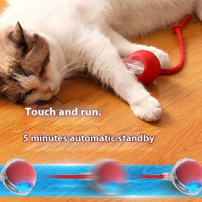 Interactive Cat Toy Ball, Fast Rolling Cat Toy, Cat Teaser Toy, Pet Entertainment Supplies, Pet Interactive Toy, Cat Teething Toy