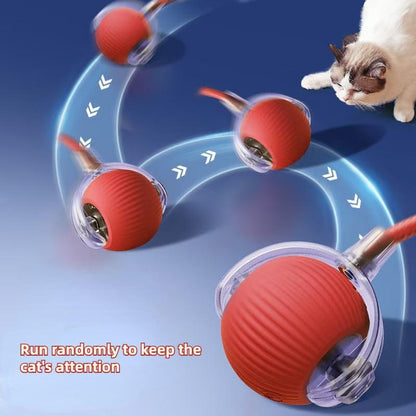 Interactive Cat Toy Ball, Fast Rolling Cat Toy, Cat Teaser Toy, Pet Entertainment Supplies, Pet Interactive Toy, Cat Teething Toy